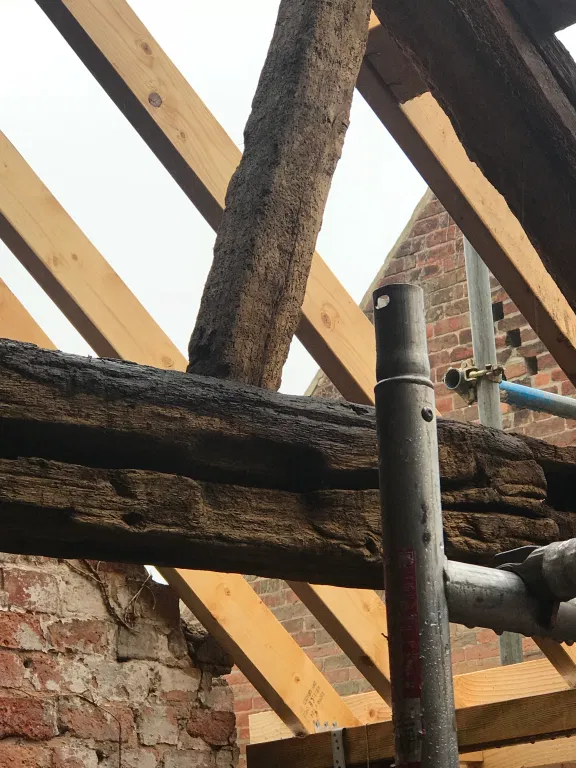 woodworm causing roof problems