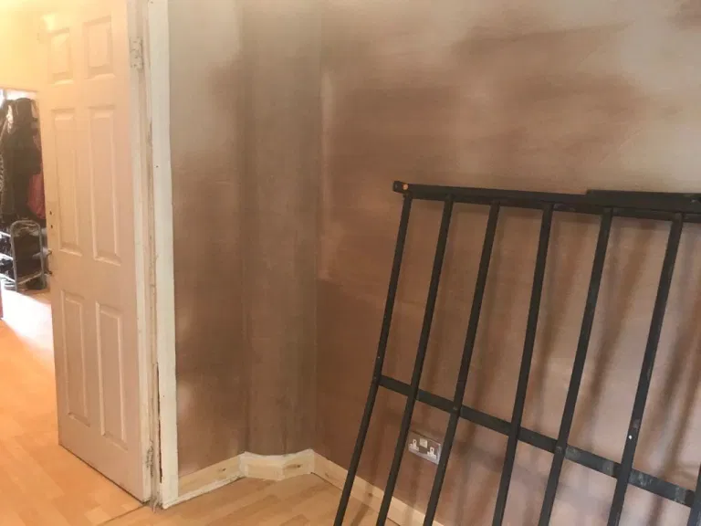 progress of damp wall