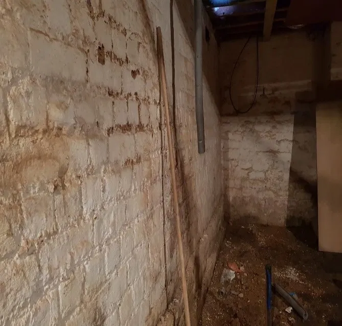 damp damage to walls