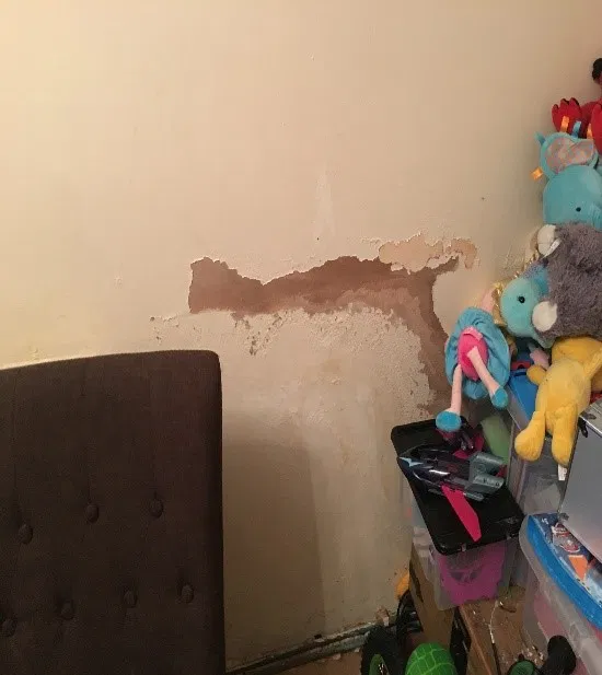 damp wall damage