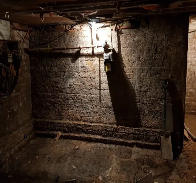 damp damage to walls