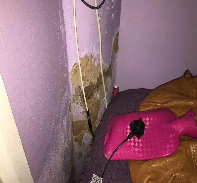 damp damage to wall