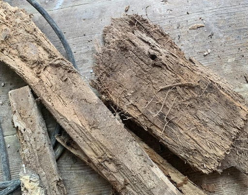 damaged wood