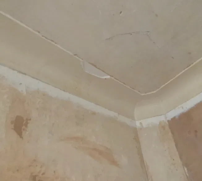 damp damage to ceiling