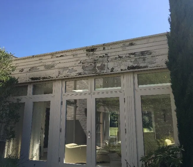 damaged fascia