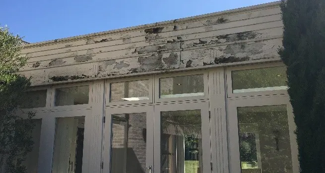 damaged fascia
