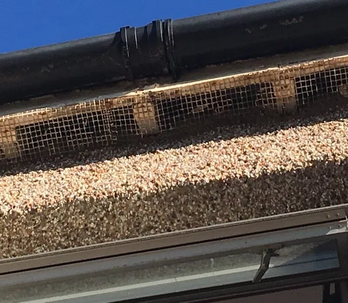rot damage to gutter