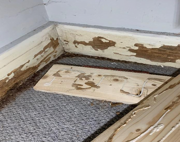 damaged skirting boards