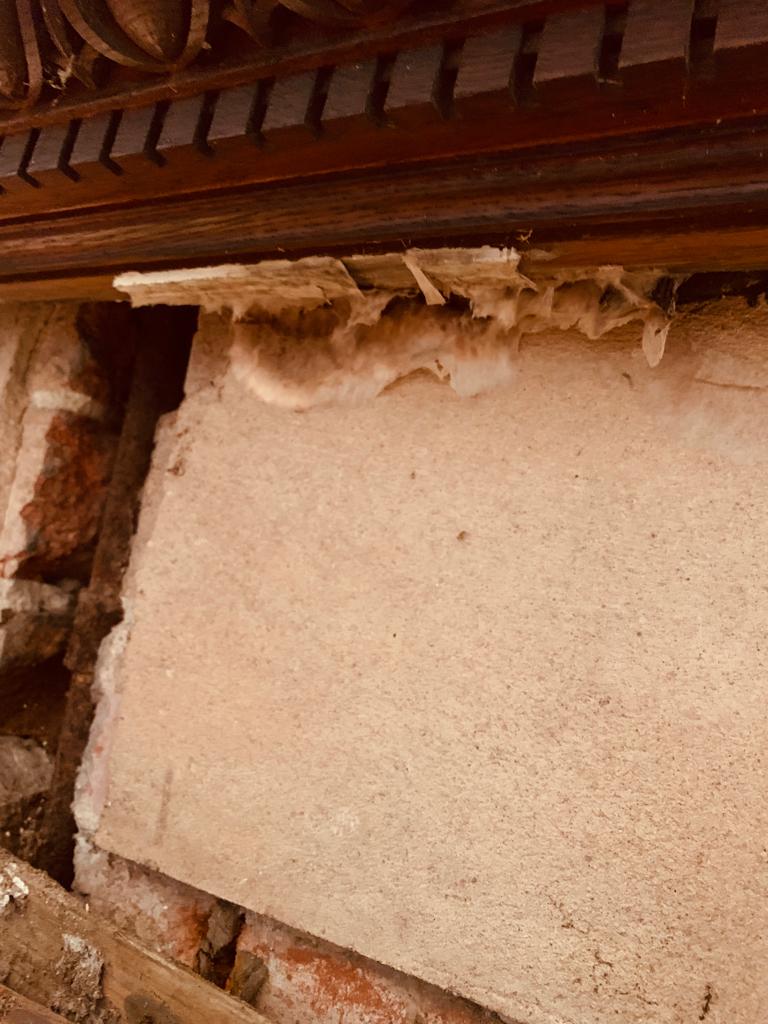 Dry Rot Specialist Treatment in the South West and London